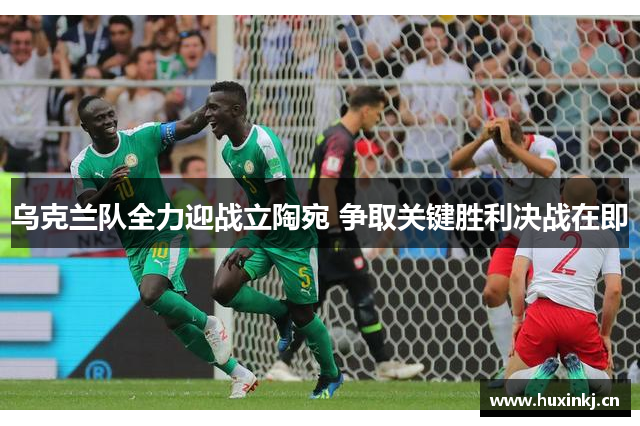 乌克兰队全力迎战立陶宛 争取关键胜利决战在即