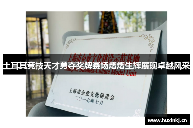 土耳其竞技天才勇夺奖牌赛场熠熠生辉展现卓越风采