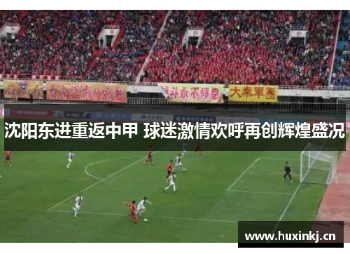 沈阳东进重返中甲 球迷激情欢呼再创辉煌盛况