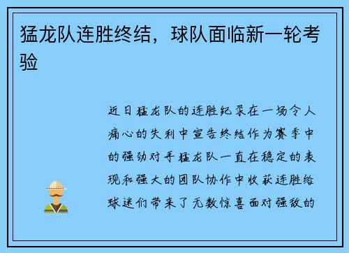 猛龙队连胜终结，球队面临新一轮考验